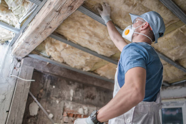 Best Energy-efficient Insulation  in Shepherdstown, WV