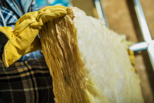 Best Professional Insulation Contractor  in Shepherdstown, WV