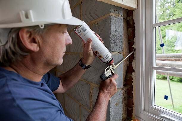 Best Insulation Replacement Services  in Shepherdstown, WV