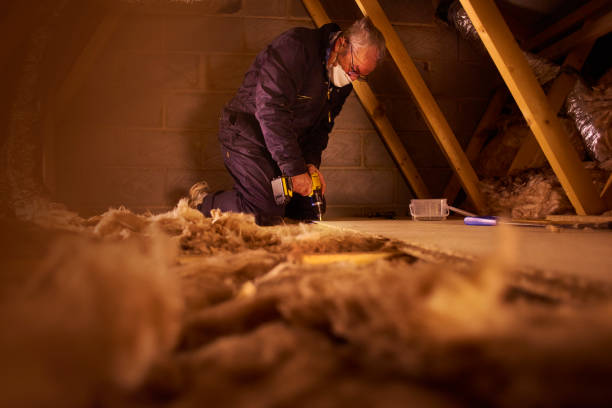 Best Blown-in Insulation  in Shepherdstown, WV